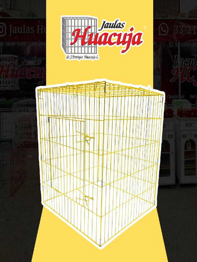 Pqte de 5 Rascaderos pintados Color Amarillo