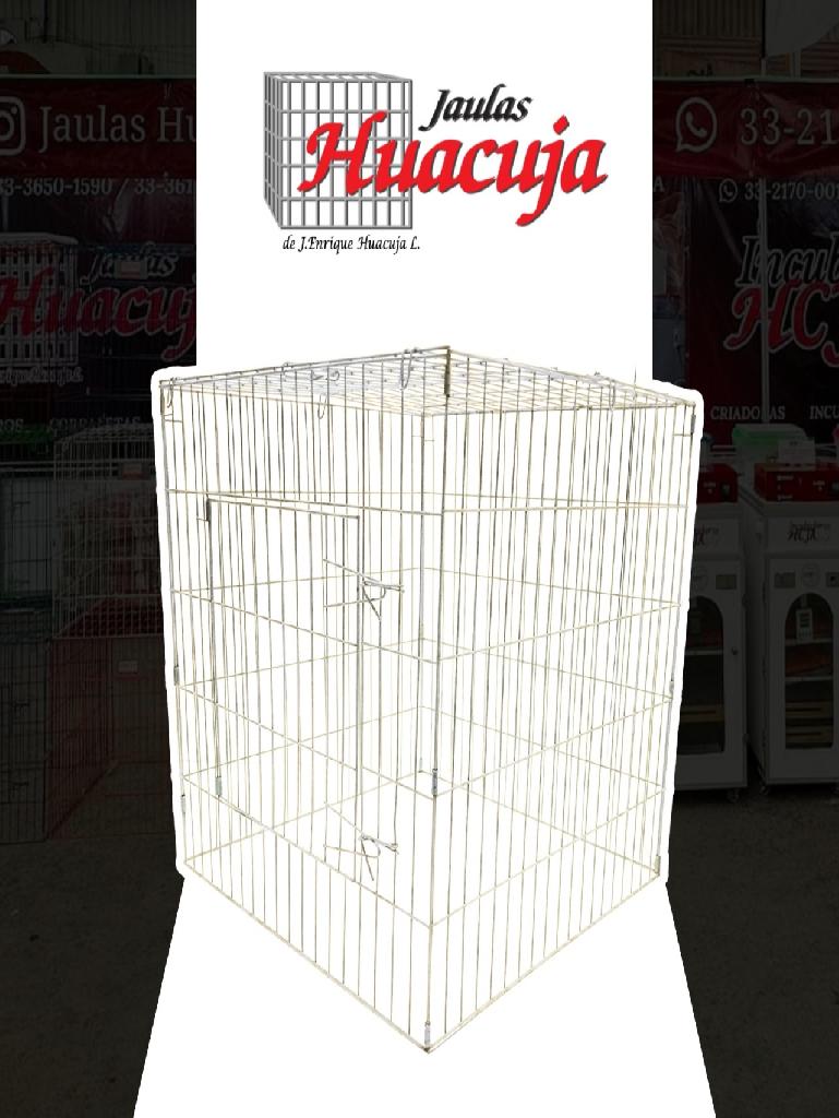 Pqte de 5 Rascaderos pintados Color Blanco