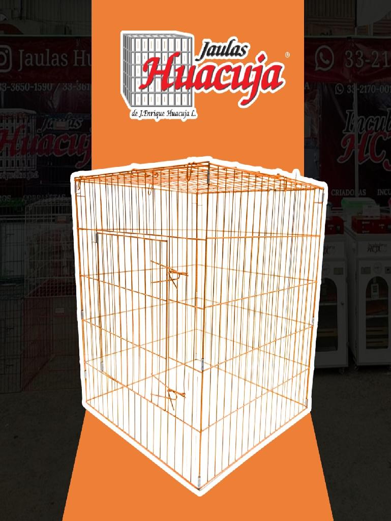 Pqte de 5 Rascaderos pintados Color Naranja