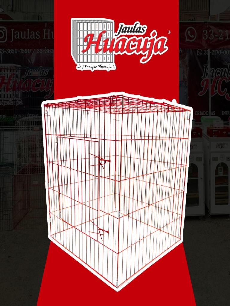 Pqte de 5 Rascaderos pintados Color Rojo