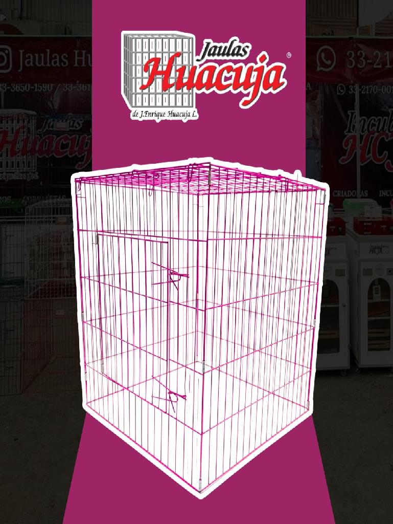 Pqte de 5 Rascaderos pintados Color Rosa