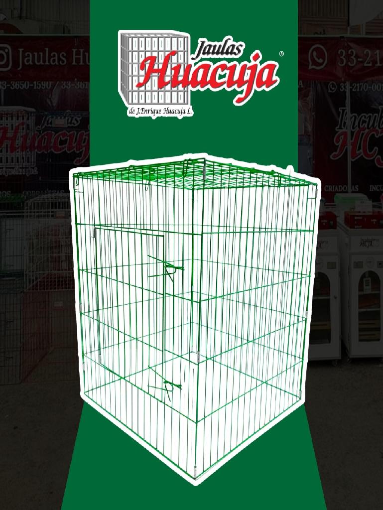  Pqte de 5 Rascaderos pintados Color Verde